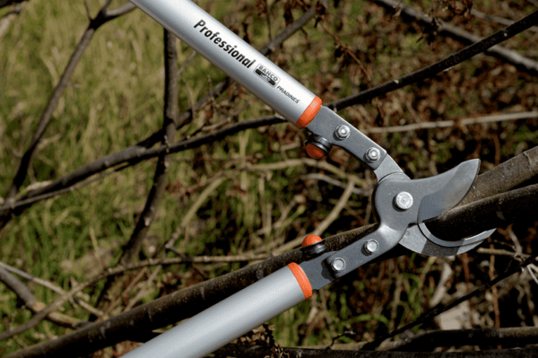 Ébrancheur professionnel démultiplié, manche aluminium - P160-SL - Bahco