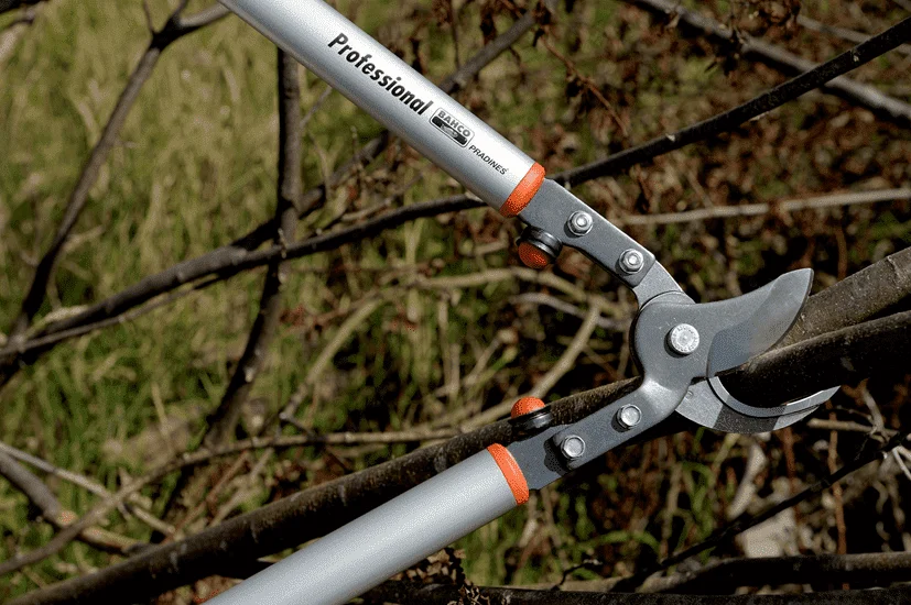 Ébrancheur professionnel démultiplié, manche aluminium - P160-SL - Bahco