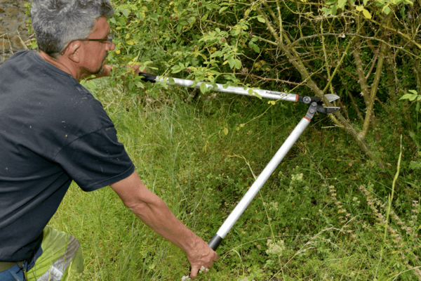 Ébrancheur professionnel démultiplié, manche aluminium longueur 85cm - P173-SL-85 - Bahco