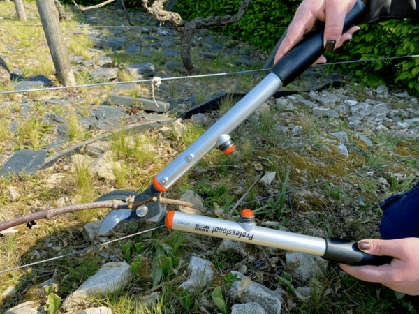 Ébrancheur professionnel manche aluminium, longueur 40cm - P114-SL - Bahco