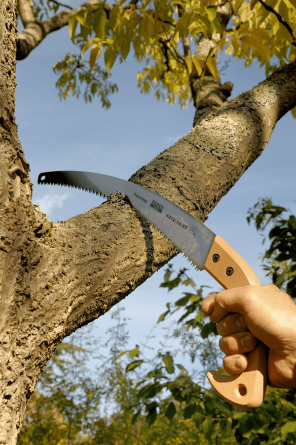 Scie arboricole à denture trempée avec poignée en bois - 4211-11-6T - Bahco 2