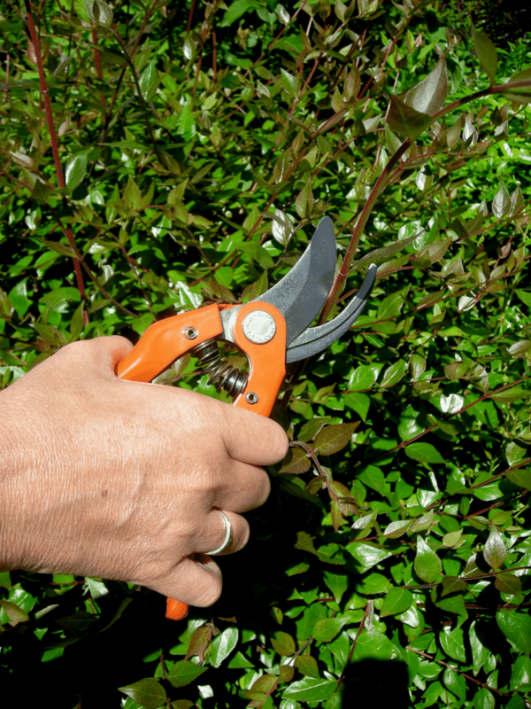 Sécateur de jardin avec poignées en acier 15 mm - P121 - Bahco