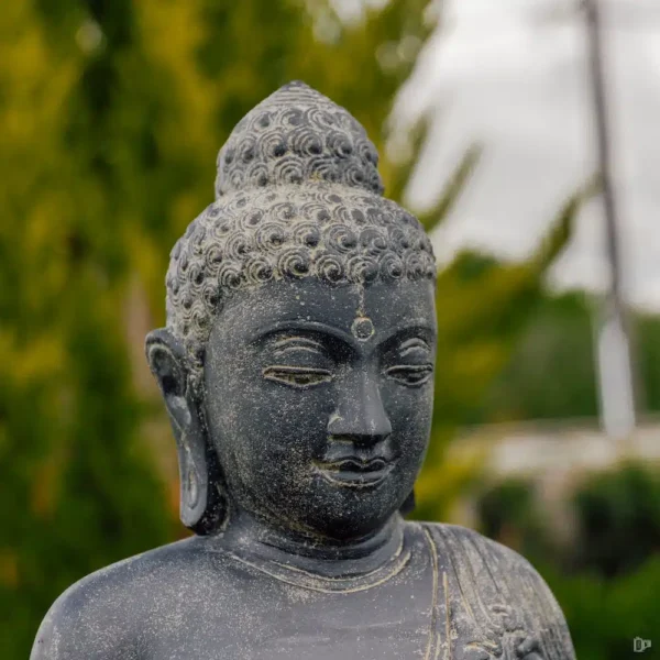 CMJ-M-STB-158-C-N Grande statue Bouddha debout en position chakra - Noir antique 158cm