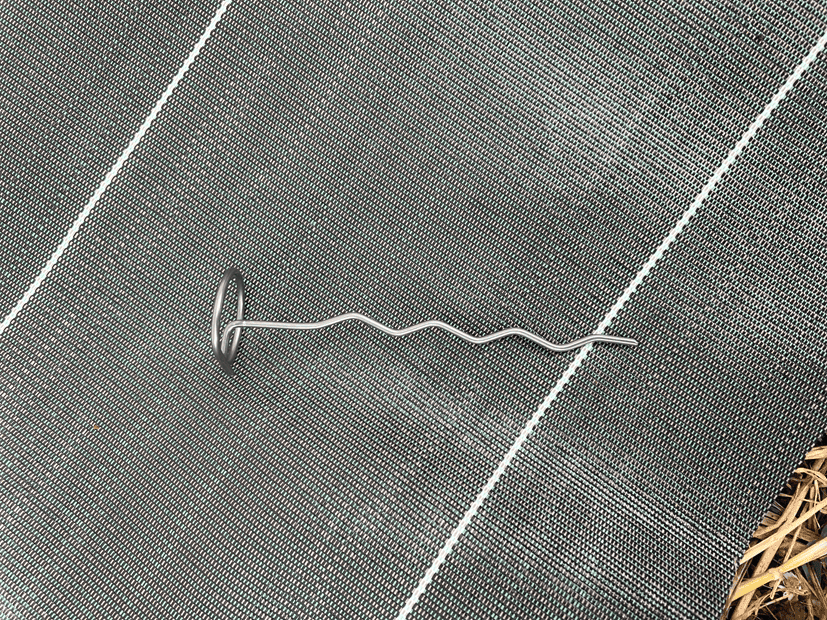 Agrafe pour toile PICANTER D