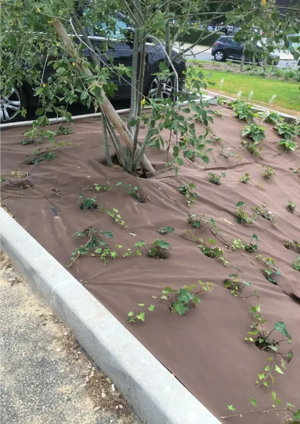 Toile non tissée pour paillage 100m - Noir-Marron, 110g - 1.10m 1.60m 3.20m ELITE - CMJ Installée