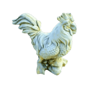 Coq français géant ton vieilli - 83 cm
