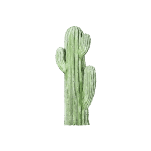 Statue cactus mexicain en pierre - 56 cm