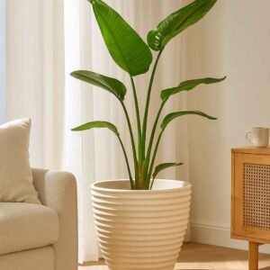 Grand pot de fleurs cannelé Nova Ø 55 cm ton blanc (Mise en situation générée à titre indicatif - visuel non contractuel)