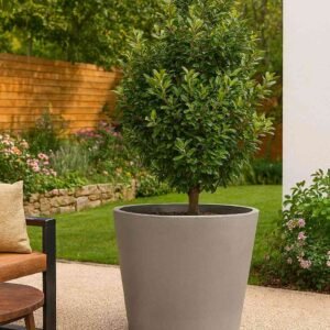 Pot de fleurs XXL 200 litres béton pressé ton anthracite (Mise en situation générée à titre indicatif - visuel non contractuel)