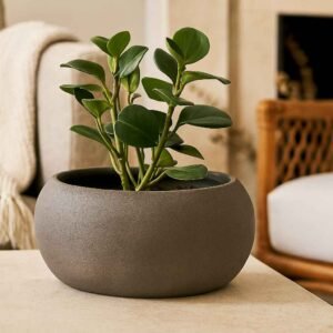 Vase boule en pierre Nova ton anthracite Ø 40 cm (Mise en situation générée à titre indicatif - visuel non contractuel)