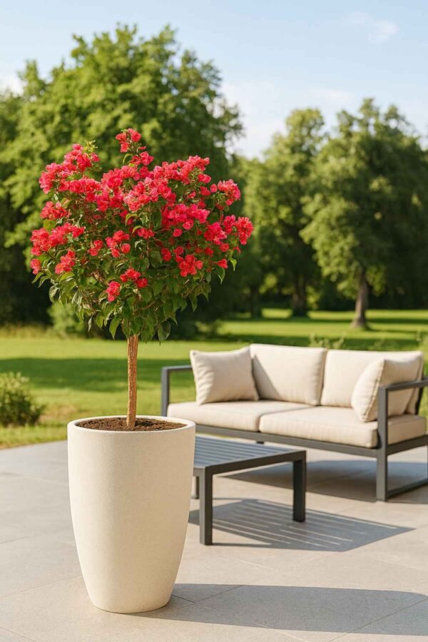 Vase extérieur haut béton pressé ton blanc Ø 40 cm (Mise en situation générée à titre indicatif - Visuel non contractuel - jardin)