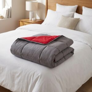 Couette bicolore ALPAGE 240x260cm en microfibre grise et rouge