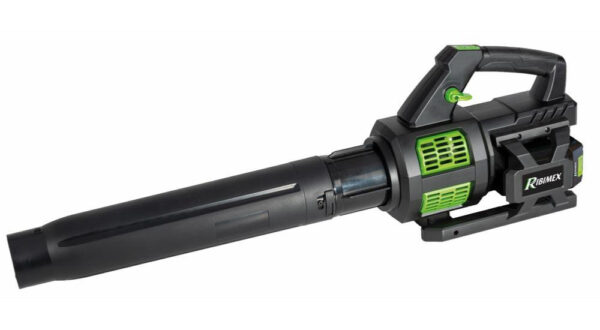 Image principale du souffleur pro R-BAT20 20v avec 2 batteries 2 amp et chargeur, modèle PRBAT20/SPRO