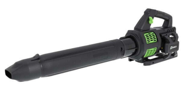 Image principale du Souffleur batterie pro R-BAT20 20v avec 2 batteries 2 amp et chargeur, référence PRBAT20/SPRO