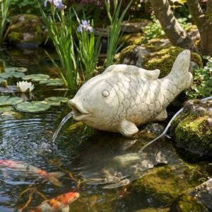 Jet d'eau pour bassin en forme de carpe Koï japonaise - ton vieilli